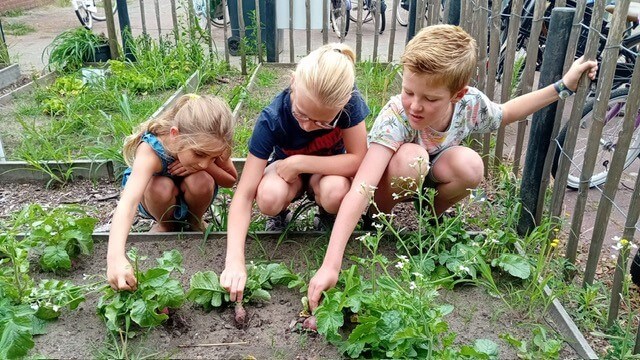 Drie Kinderen Bij Moestuin Drie Kinderen Bij Moestuin